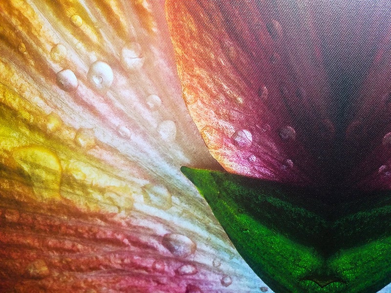 Finestra Art 8.5" X 11" Canvas Textured Premium Inkjet Photo Paper - 50 Sheets - Image 2